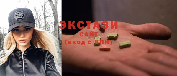 ECSTASY Бородино